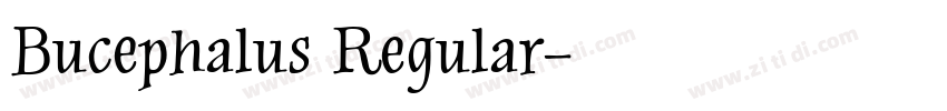 Bucephalus Regular字体转换